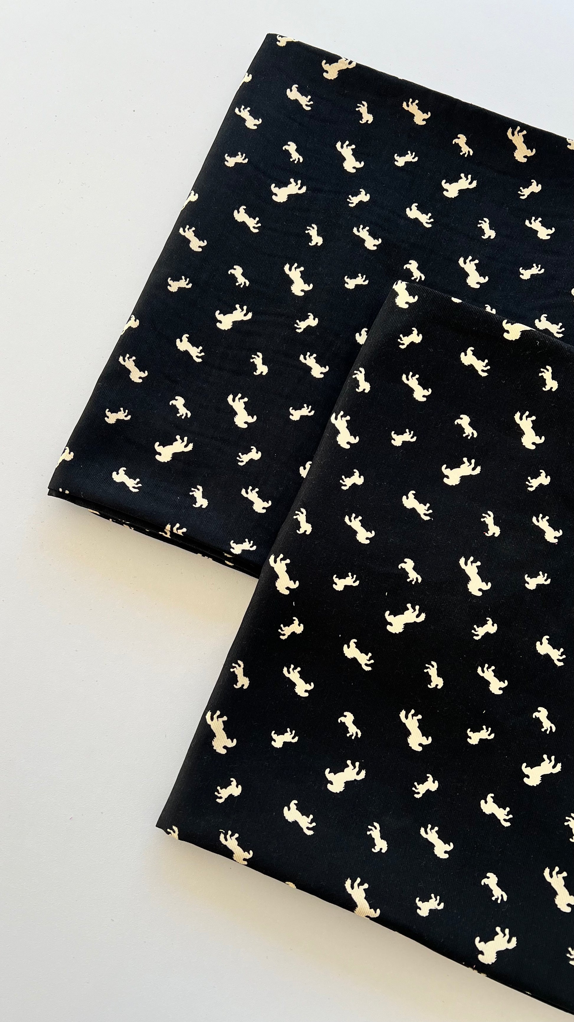 Corduroy 2pc Suit-CT210801124